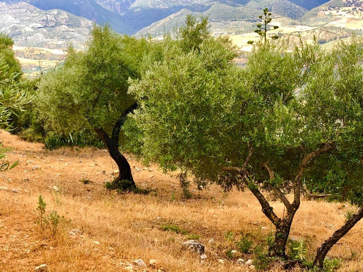 El Oasis Βίλα Algodonales Εξωτερικό φωτογραφία