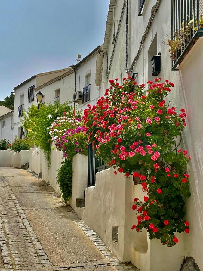 El Oasis Βίλα Algodonales Εξωτερικό φωτογραφία